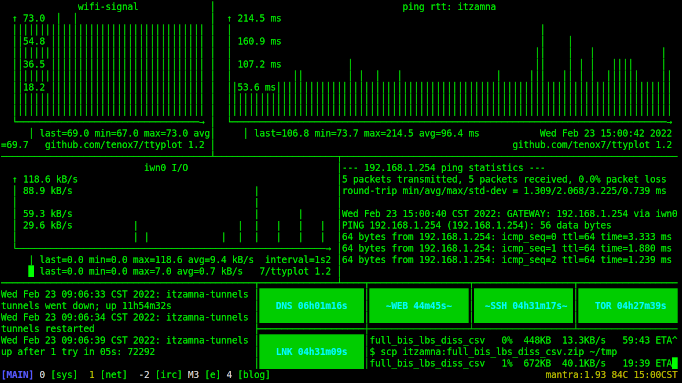 One of my tmux monitoring windows with ttyplots showing various network conditions